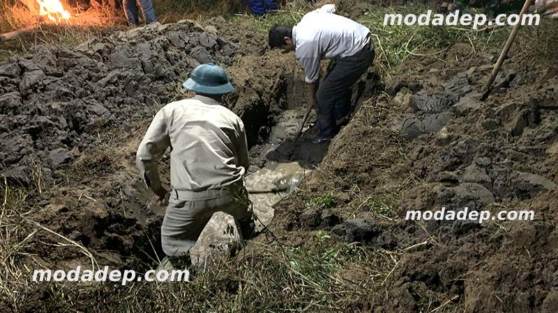 Khi tiến hành bốc mộ, gia đình cần tham khảo ý kiến của các chuyên gia phong thủy